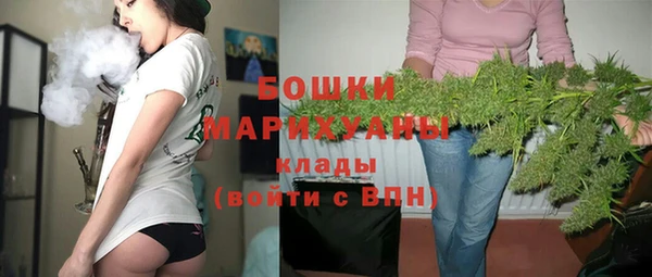 тгк Гусев